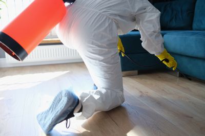 Pest Fumigation Service in Woodbridge, VA